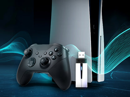 【同時購入で1000円OFF】Brook Wingman P5 コンバーター (PS5/PS4/PC)