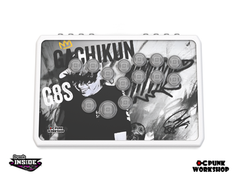 PWS R14 Gachikun Model – PUNK WORKSHOP JAPAN